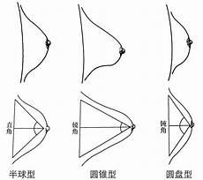 生活中哪些是圆锥形的